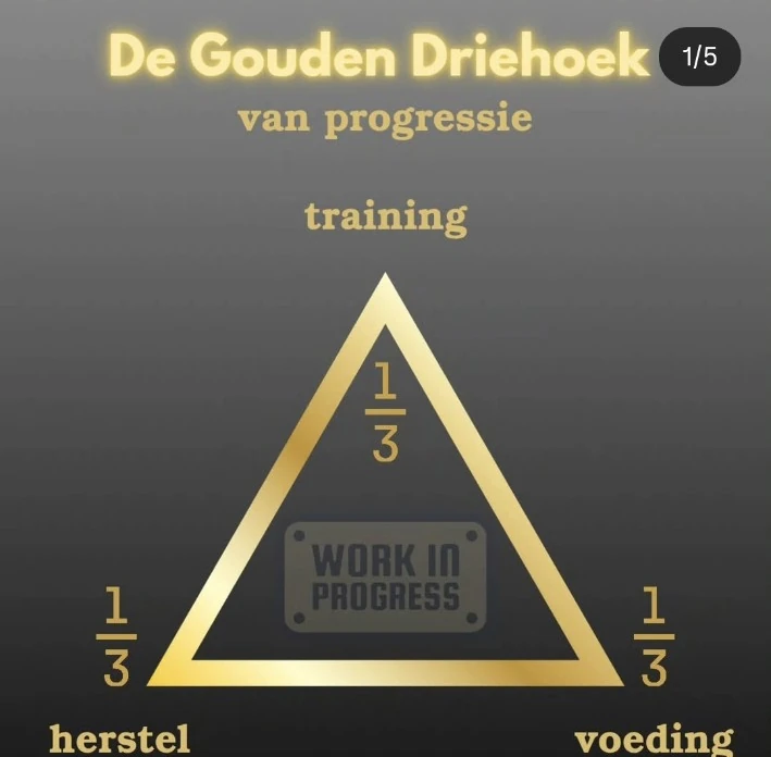 Luuks originele Instagram-illustratie van de Gouden Driehoek: training, herstel en voeding